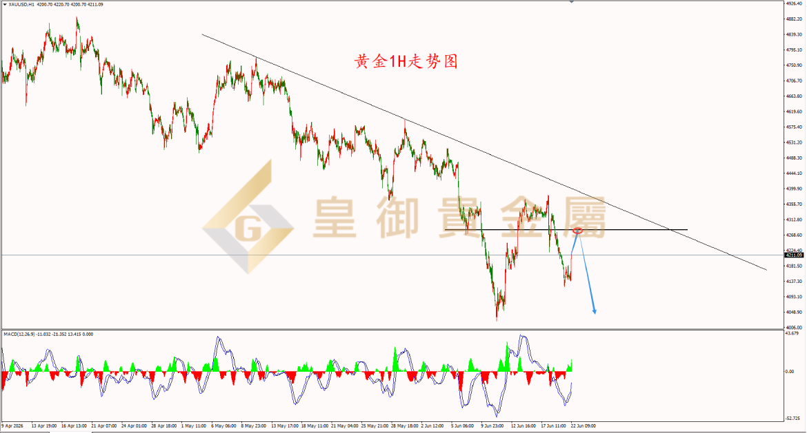 皇御黄金走势图 皇御黄金走势图