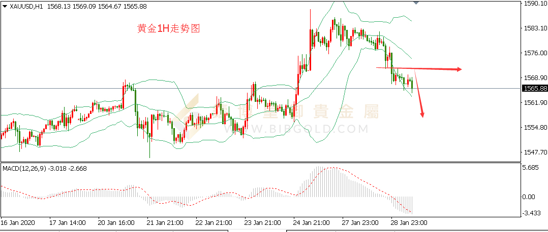 皇御黄金走势图