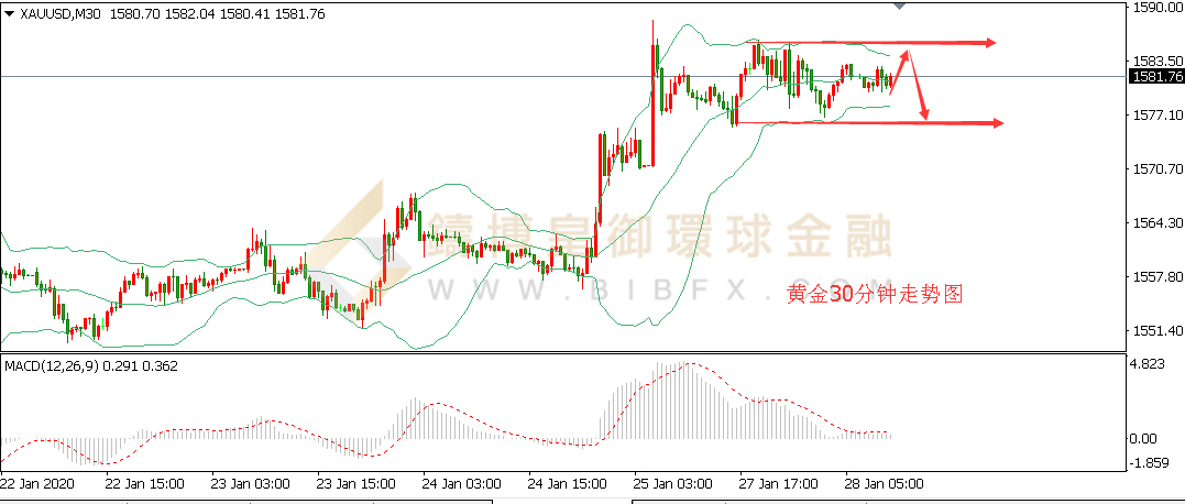 皇御黄金走势图