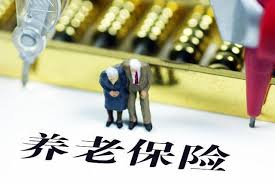养老保险小分析