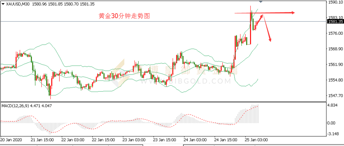 皇御黄金走势图